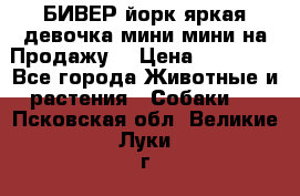 БИВЕР йорк яркая девочка мини мини на Продажу! › Цена ­ 45 000 - Все города Животные и растения » Собаки   . Псковская обл.,Великие Луки г.